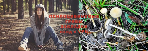 мдма Волосово