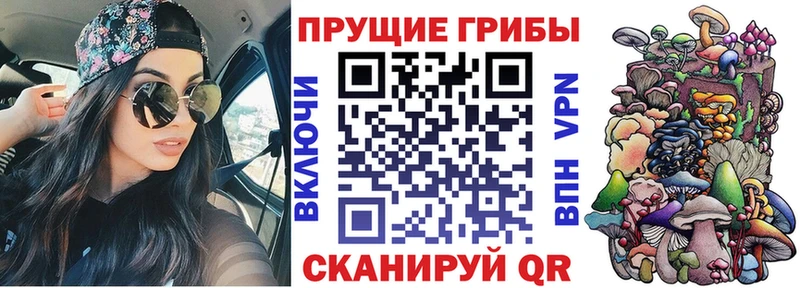 где купить наркотик  Хасавюрт  Галлюциногенные грибы мицелий 